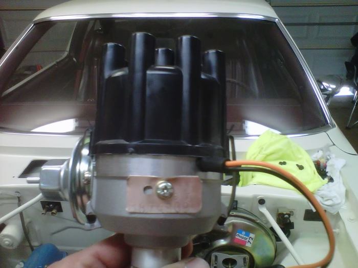 IMG00642-20110503-1355.jpg