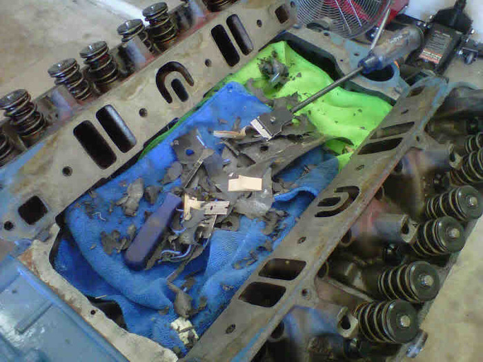 IMG00656-20110205-1534.jpg