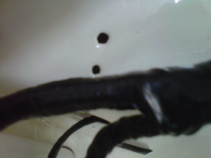 IMG00674-20110508-0037.jpg