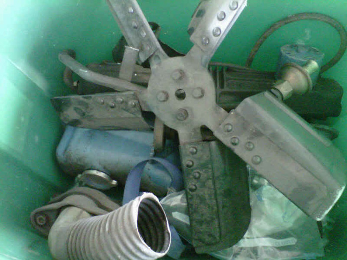 IMG00721-20100916-1336.jpg