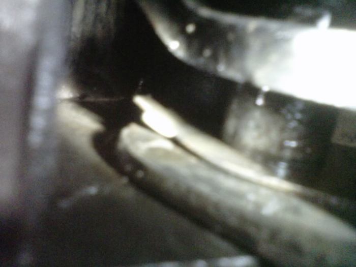 IMG00727-20110516-0003.jpg