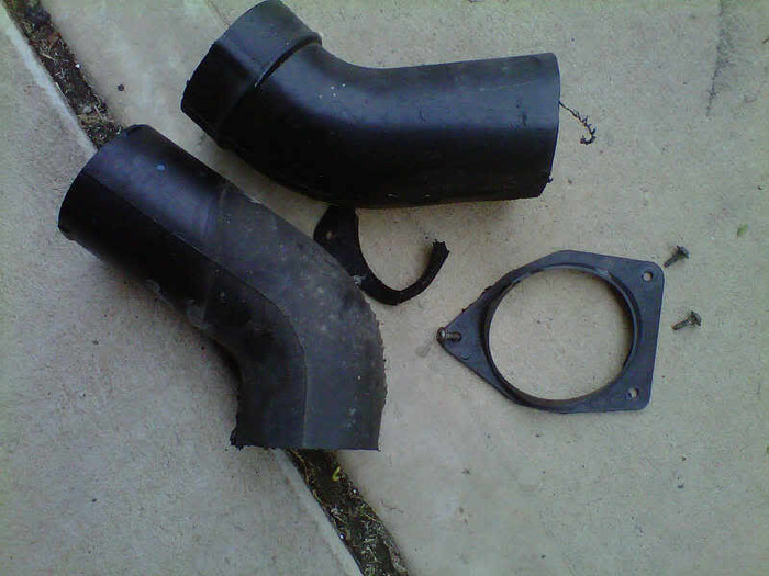 IMG00731-20100919-1703.jpg