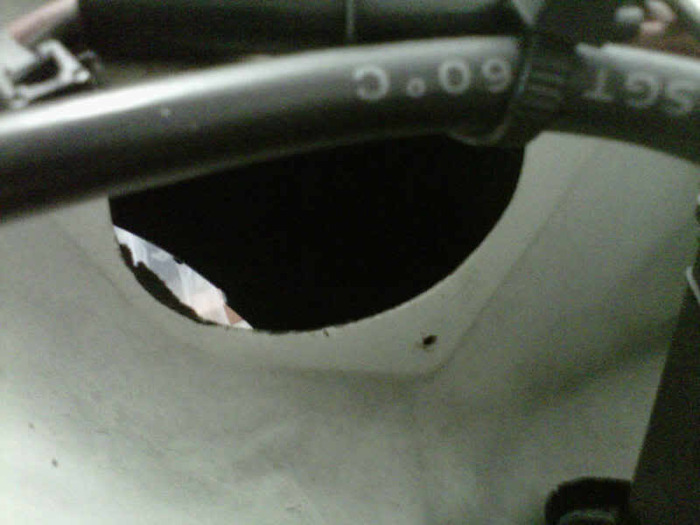 IMG00733-20100919-1706.jpg