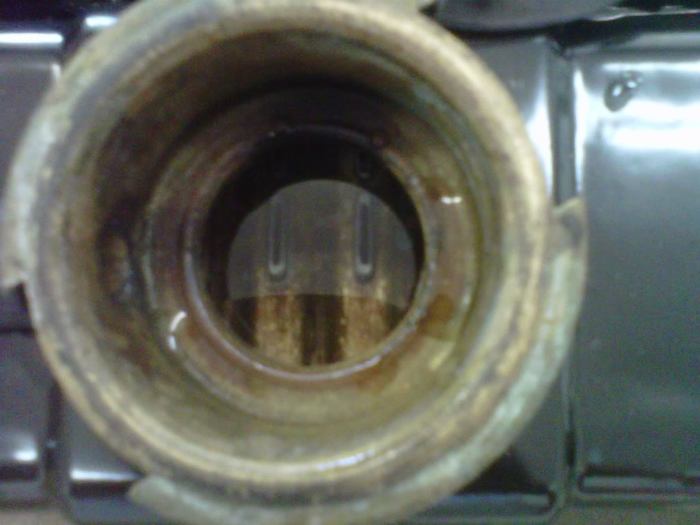 IMG00744-20110521-1557.jpg