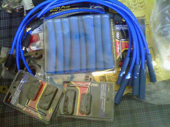 IMG00771-20100925-1024.jpg