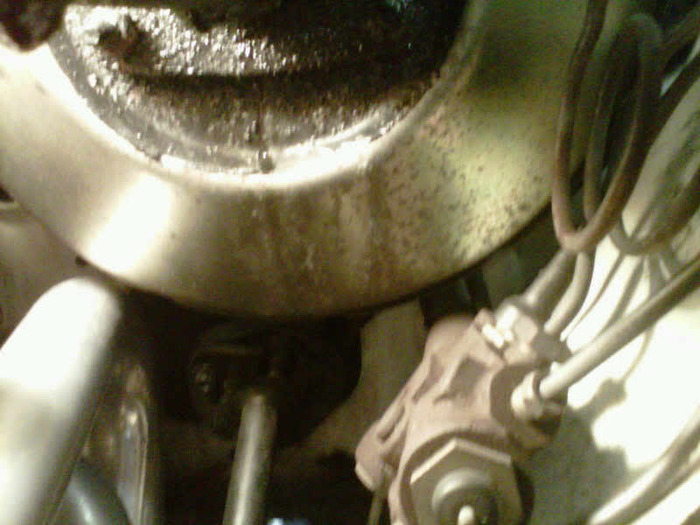 IMG00774-20100925-1027.jpg