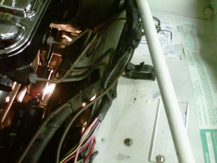 IMG00801-20100928-2000.jpg