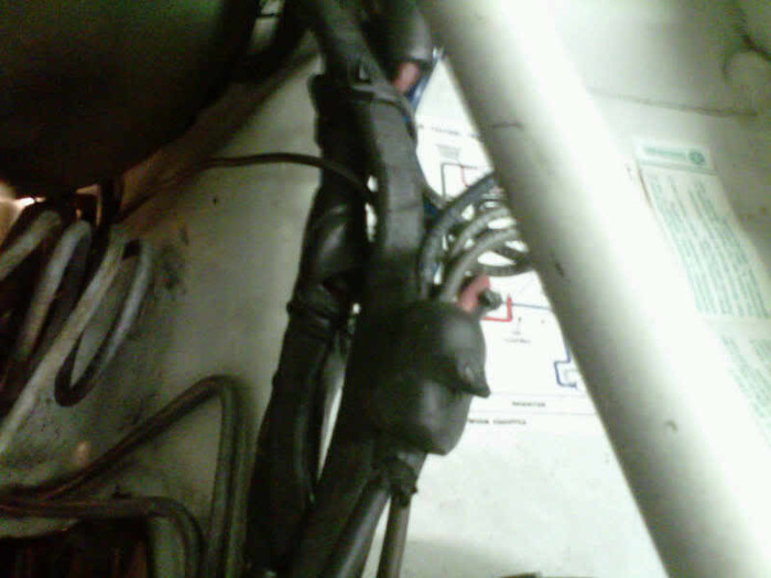 IMG00802-20100928-2001.jpg