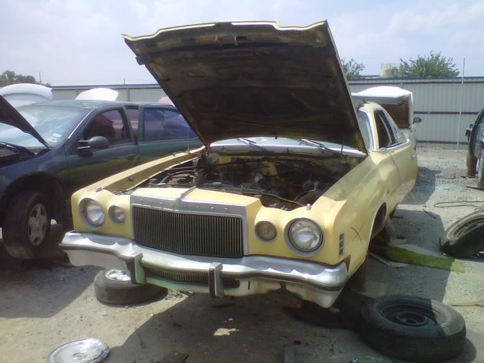 IMG00805-20110611-1136.jpg