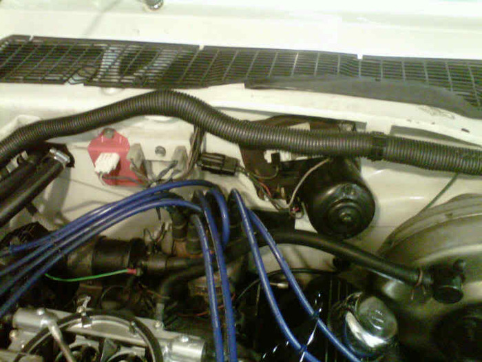 IMG00815-20100929-2325.jpg