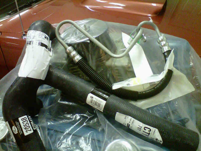 IMG00816-20100929-2327.jpg