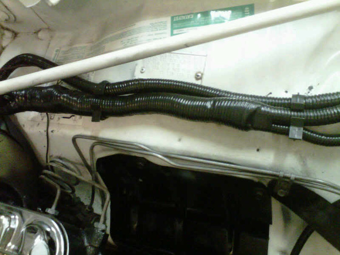 IMG00819-20100930-2202.jpg