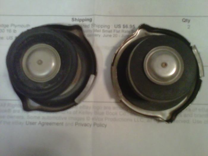 IMG00828-20110619-1724.jpg