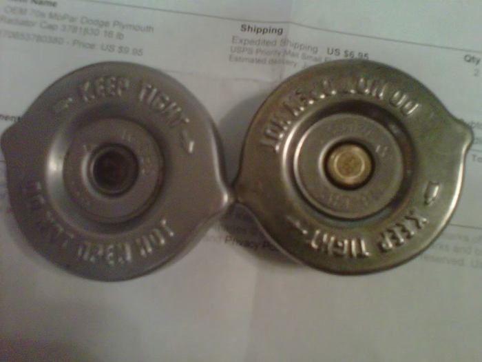 IMG00829-20110619-1725.jpg