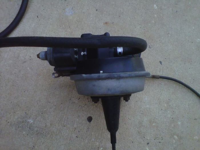 IMG00838-20110620-1726.jpg