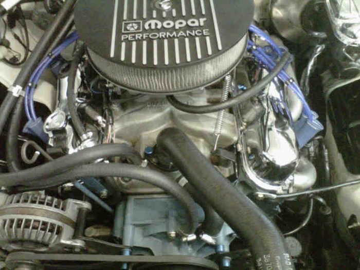 IMG00859-20101005-1716.jpg
