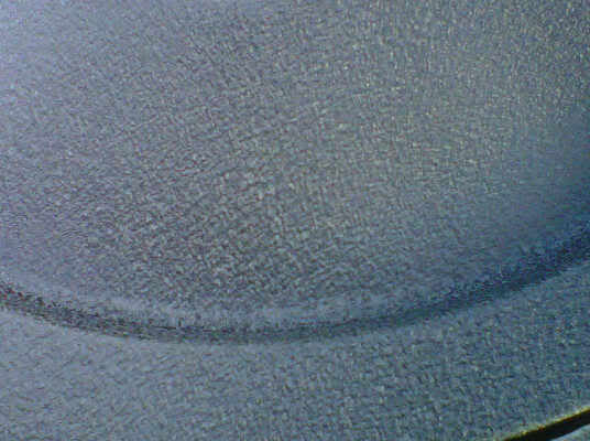 IMG00863-20101005-1820.jpg