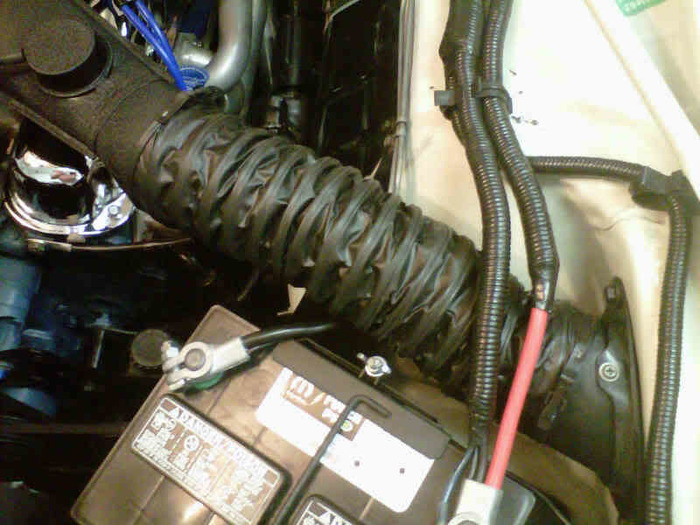 IMG00871-20101007-2227.jpg