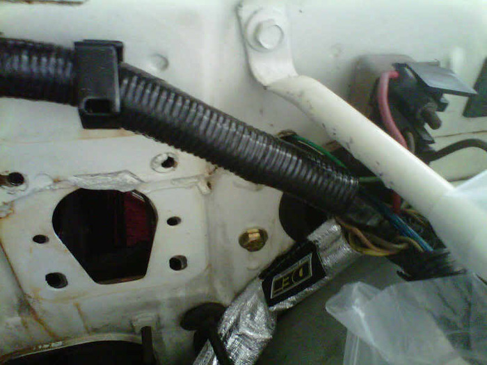 IMG00880-20101010-1242.jpg