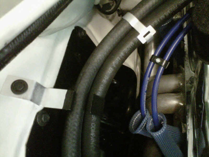 IMG00886-20101012-1933.jpg