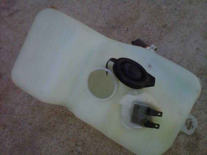 IMG00929-20110801-1625.jpg