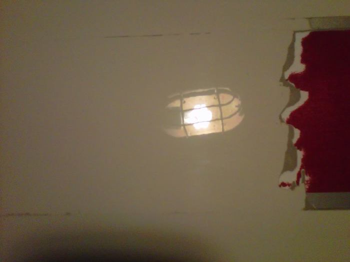 IMG01037-20111017-2201.jpg