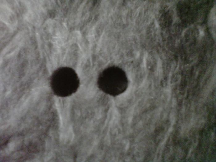 IMG01045-20111019-2148.jpg