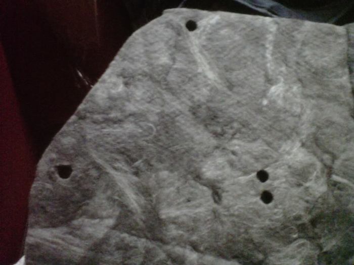 IMG01046-20111019-2148.jpg