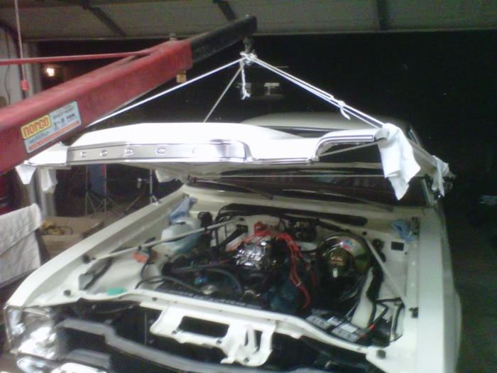 IMG01066-20111023-1918.jpg