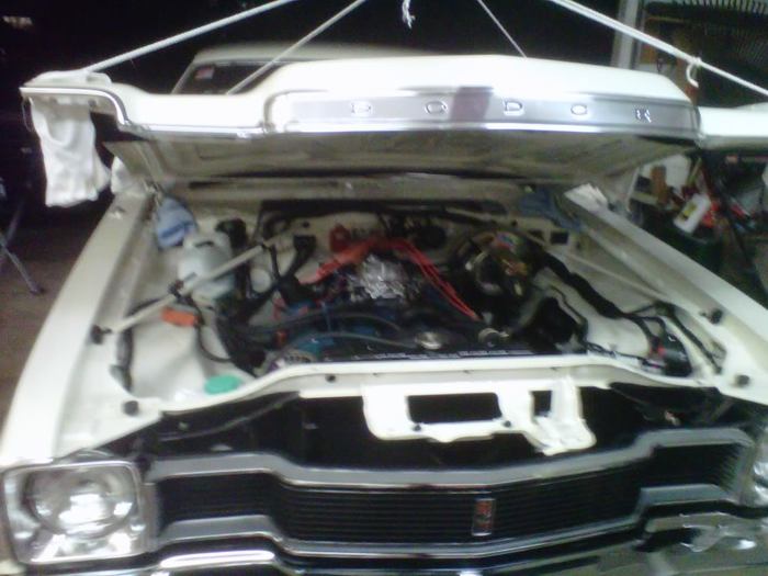 IMG01067-20111023-1947.jpg