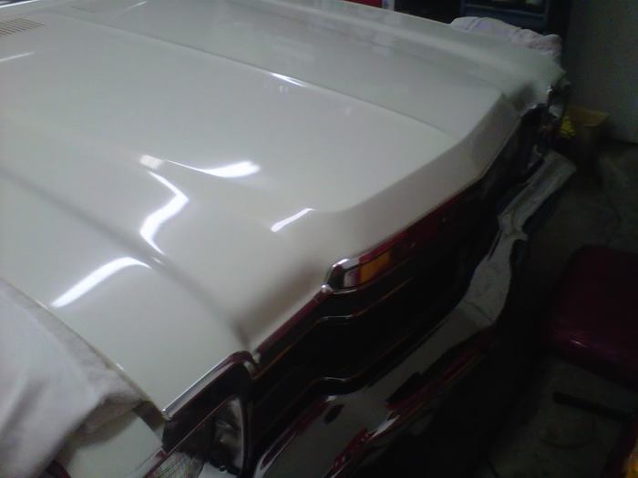 IMG01068-20111023-2033.jpg