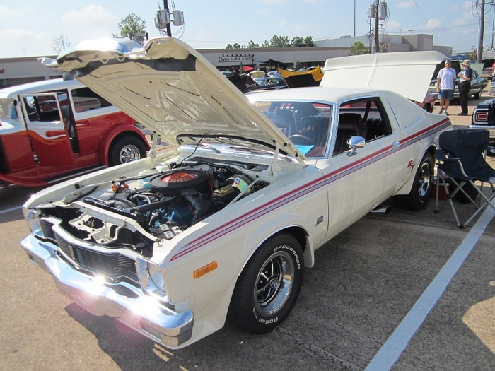 IMG_0765_zps45029ef3.jpg