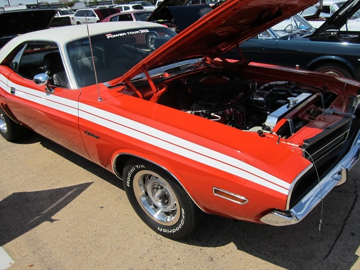 IMG_0770_zpscfff18c3.jpg
