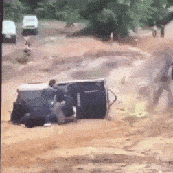 IMG_0798.gif