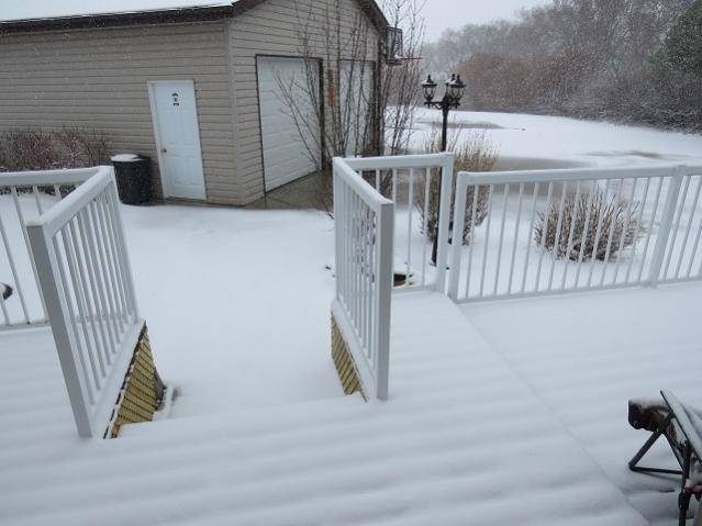 IMG_1529.jpg