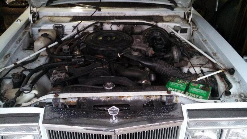 IMG_20140404_180906_526[1].jpg