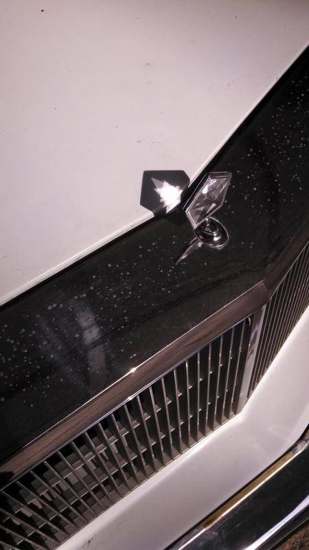 IMG_20140416_171651_551[1].jpg