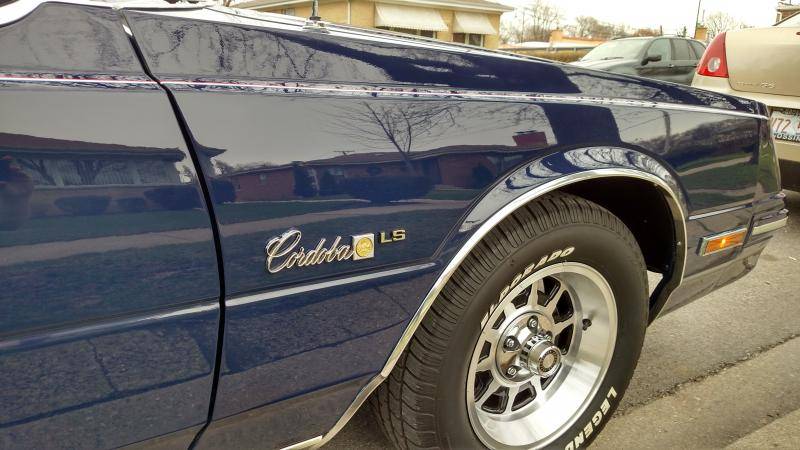 IMG_20150412_165106042_HDR.jpg