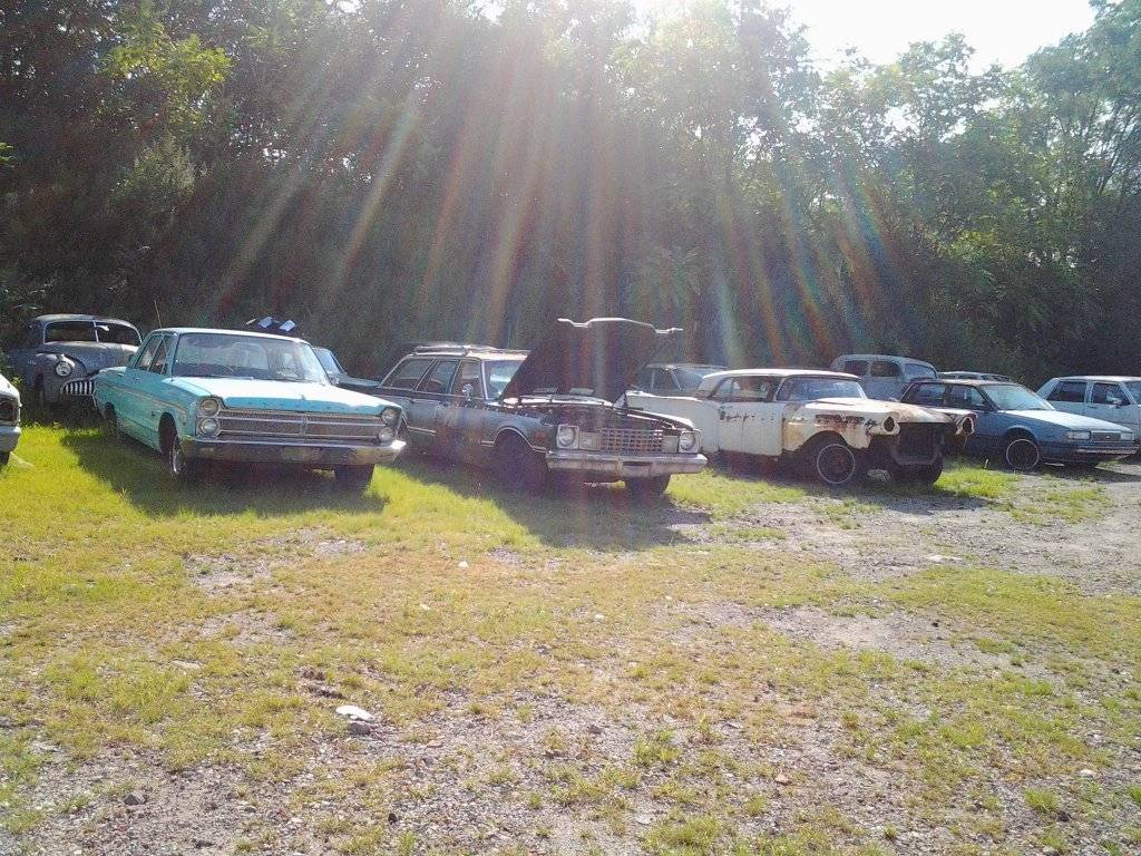 IMG_20160806_092108.jpg