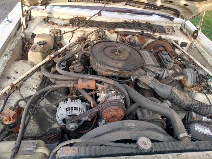 IMG_20210407_183055758_HDR.jpg