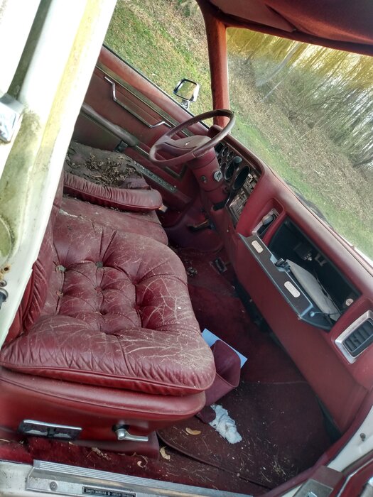 IMG_20210407_183143391_HDR.jpg