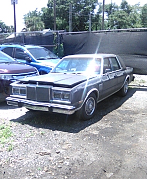 IMG_20210503_130608.jpg
