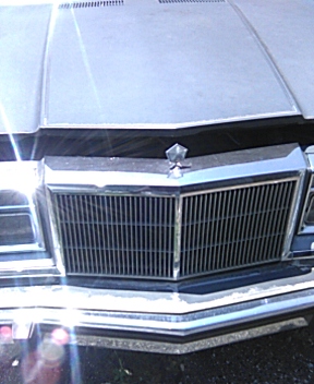 IMG_20210503_131232.jpg