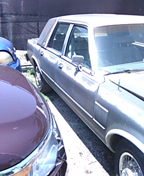 IMG_20210503_131237.jpg