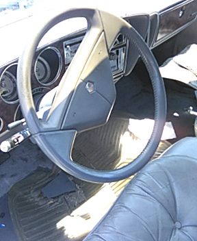 IMG_20210503_131524.jpg