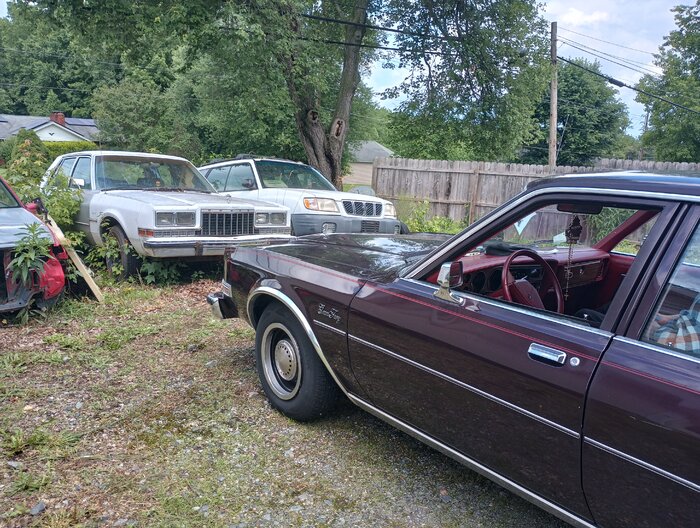 IMG_20230704_135817303_HDR.jpg