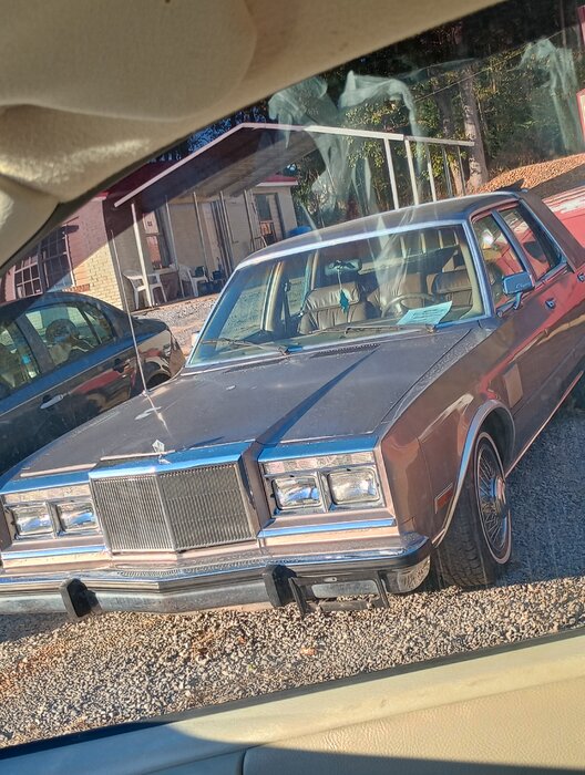 IMG_20231102_165635109_HDR.jpg