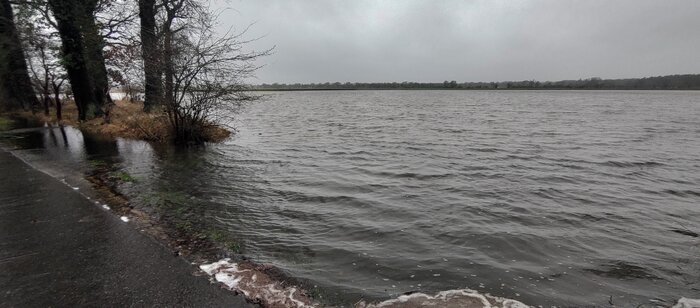 IMG_20231224_095923898_HDR.jpg