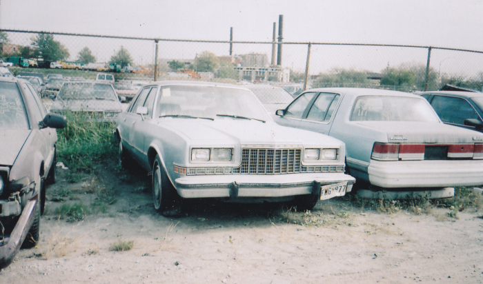 IMG_20241127_0001.png