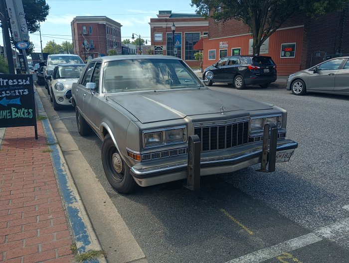 IMG_20250802_105930078_HDR.jpg